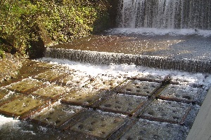 雨池川01