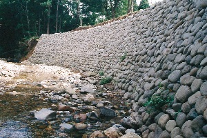 根岸の沢02