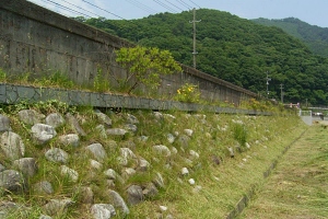 甲子川01