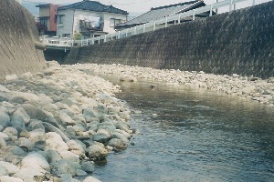 須崎川02
