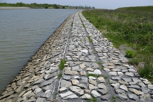 鳴瀬川野蒜地区右岸02