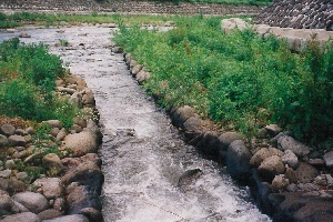 秋山沢02