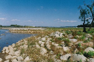 北上川中津山01