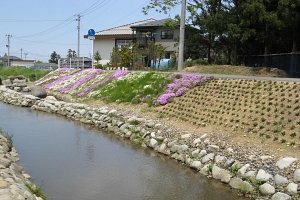 渋川用水路02