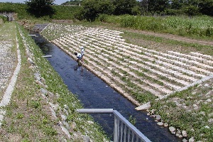 逆井公園01