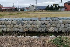 寺下排水路02