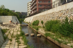 大岡川02