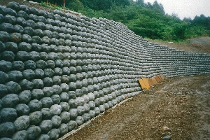 有度山総合公園01