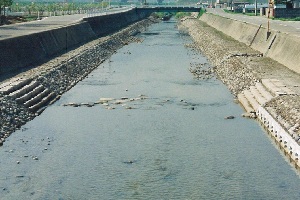 蛭沢川02