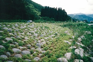 日野川02
