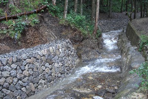 岩門の滝01