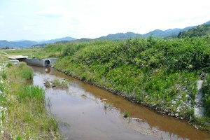 河辺西地区圃場02