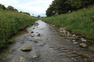 飛鳥川田原本地区04