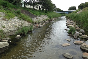 飛鳥川田原本地区05