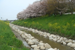 飛鳥川01