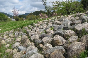 倉橋溜池02