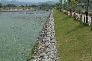 平池公園01