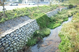 土路石川02