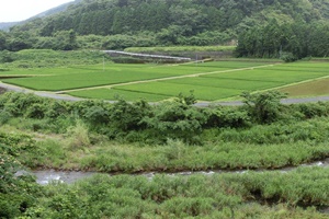 宗呂川02