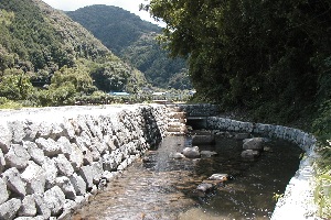 中芸東部地区01