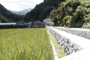 中芸東部地区03