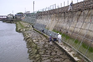 長浜堤防01