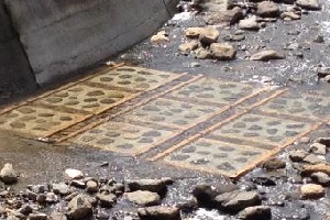 柳草谷川02
