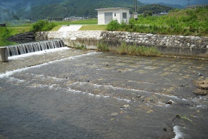 穂波川01