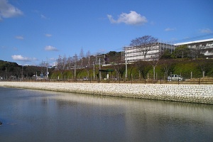 江川01
