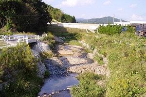 白野川01