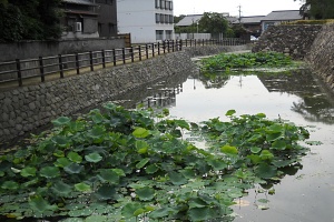 中津城01