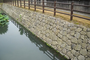 中津城03