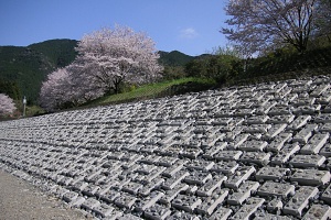 球磨川大門地区02