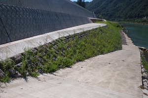 球磨川藤本地区01