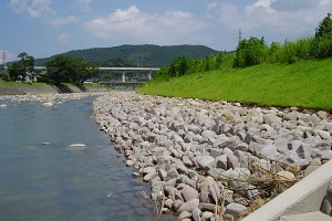 水俣川01