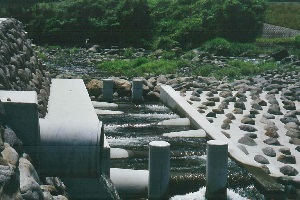 霧島市上小鹿野03